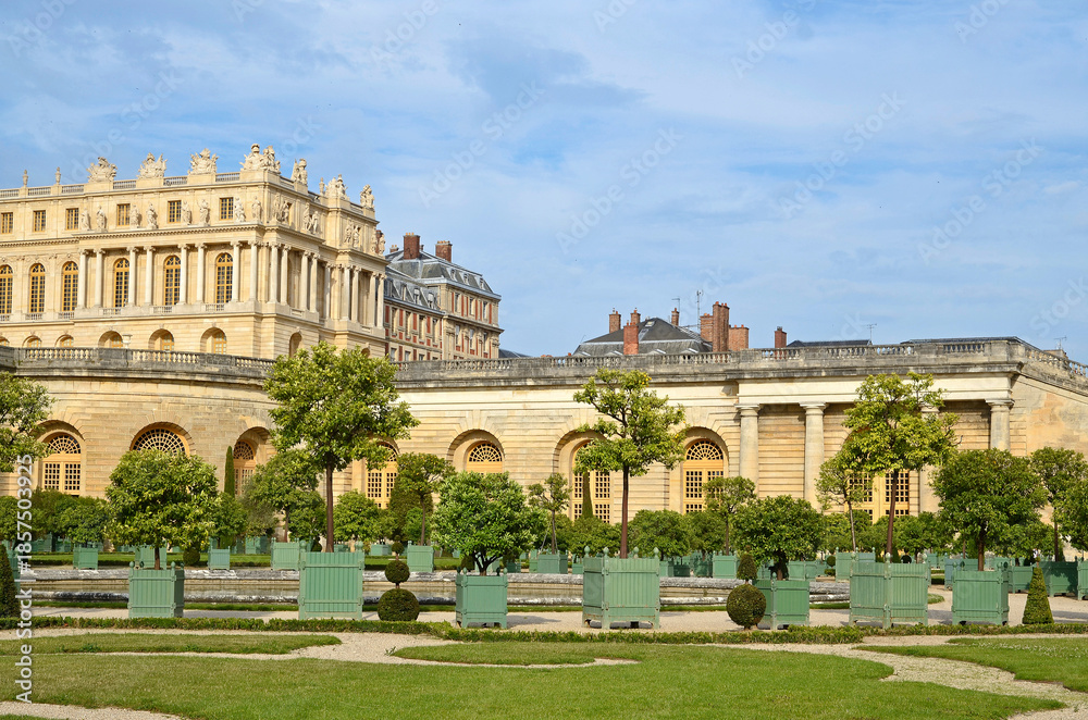 Obraz premium jardin de l'orangerie, chateau de Versailles, region Ile de France, 78, Yvelines, France