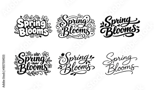 Spring Bloom Typography Variations. Hand-drawn spring blooms typography. Set lettering. harmonious lettering variations of the same emblematic concept, each