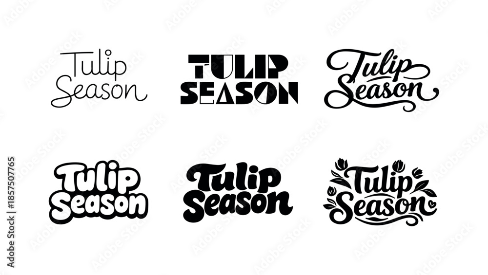 Fototapeta premium Creative Tulip Lettering. Tulip Season. Set lettering. harmonious lettering variations of the same emblematic concept, each with different artistic