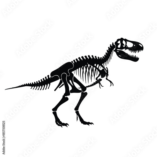 black silhouette of dinosaur skeleton