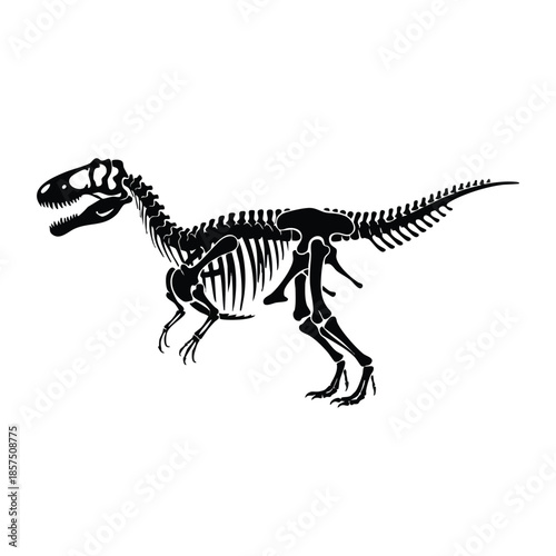 black silhouette of dinosaur skeleton