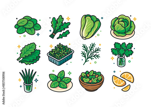 Spring Greens Icons. Spring greens on the table. Colorful isometric vector icons set of Spring greens on the table: baby spinach pile, arugula bunch, romaine