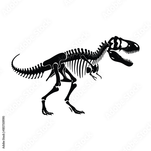 black silhouette of dinosaur skeleton