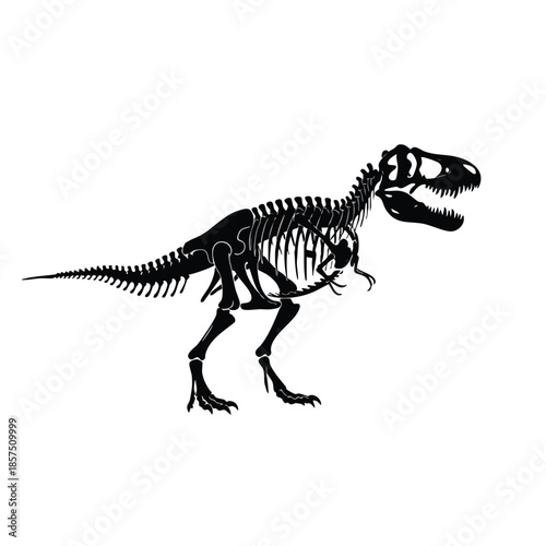 black silhouette of dinosaur skeleton