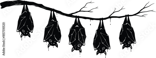 Bats hanging upside down from a tree branch in a spooky forest