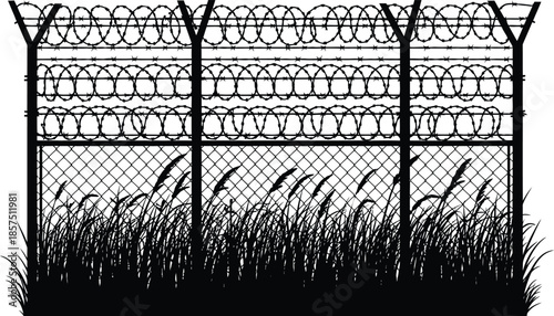 Secure fence with barbed wire and tall grass silhouette
