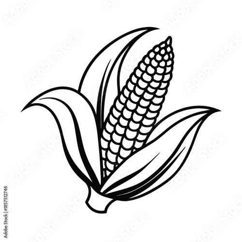 corn