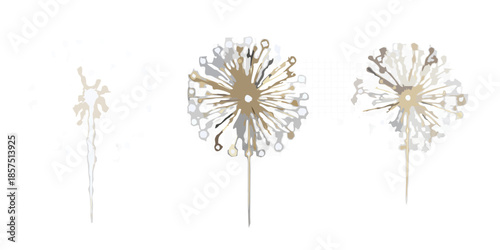 Stages of dandelion seed dispersal illustrated against a dark background