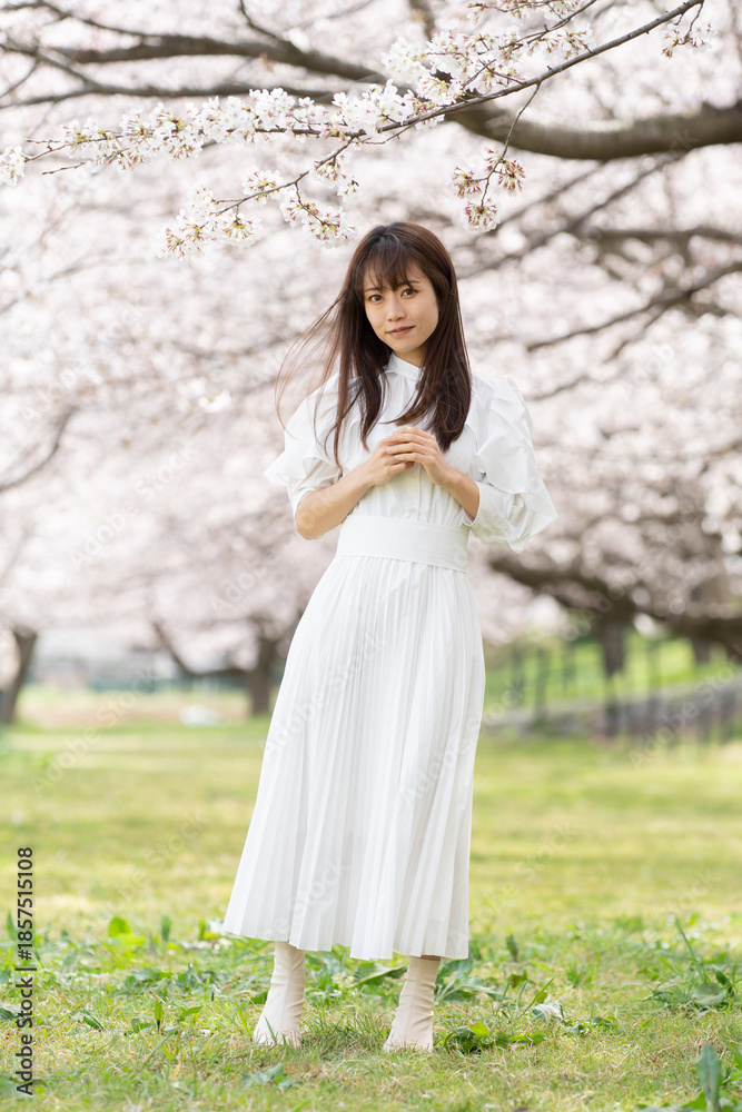 Naklejka premium 美しい日本女性