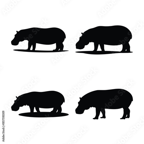 Four black hippopotamus silhouettes isolated on white, showcasing various poses of the large mammal