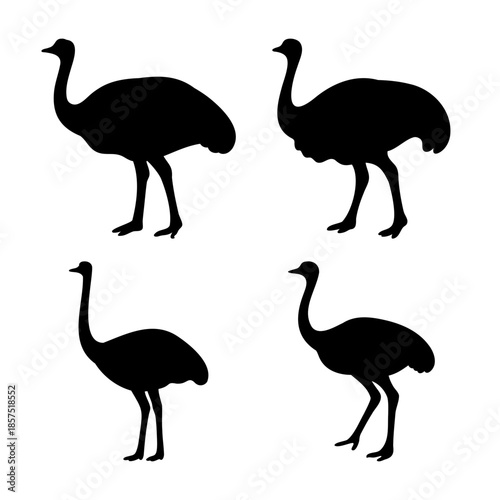 Collection of diverse black ostrich bird silhouettes isolated on a crisp white background