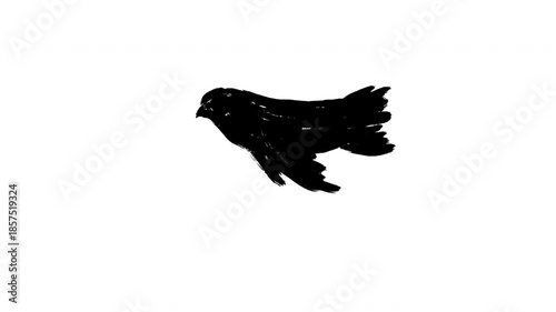 Animation flying silhouette pigeon bird in sketch grunge style. Loopable 2d motion black dove. Abstract art character isolated on white background.