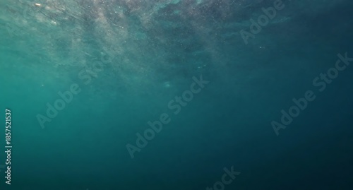 Wallpaper Mural 揺らめく水面を通して届く光と泡の美しい水中テクスチャ Torontodigital.ca