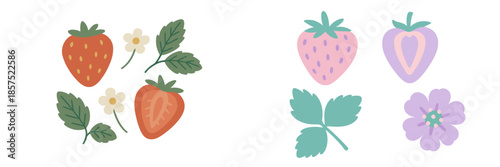 Colorful vector illustration of strawberries and flowers design