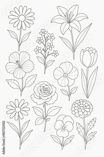Set of vintage vector flower illustrations featuring seamless floral patterns and rose leaf designs for elegant nature-inspired spring wallpaper decoration and retro textile art