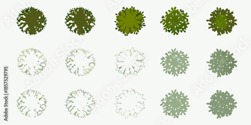 Aerial view of trees a collection of various green canopies from above