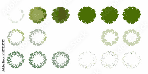 A visual progression of tree canopies from dense to sparse foliage