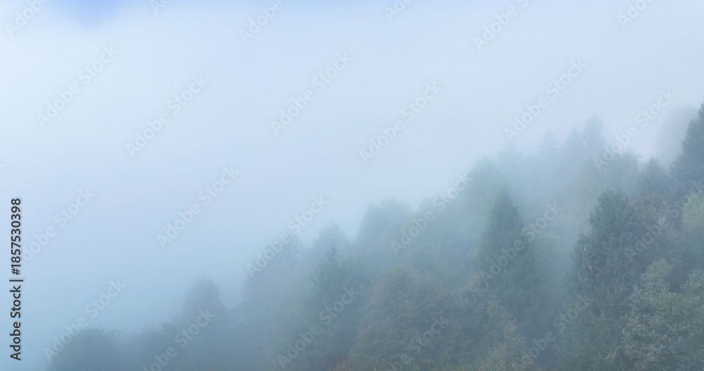 Fototapeta premium AERIAL: Dreary drone point of view of the dark deciduous tree forest enshrouded in fog on a cold day in November. Clouds, fog and darkness gather over the verdant woods of the Slovenian countryside.