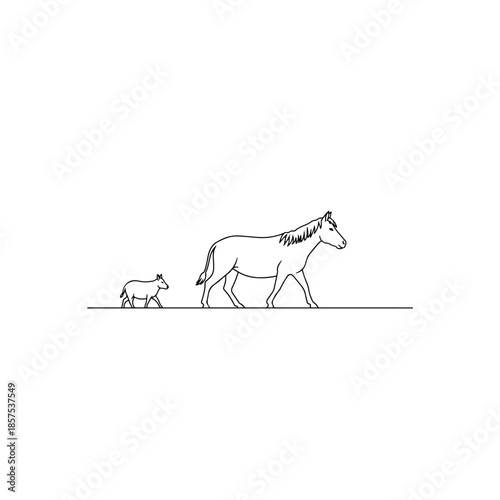 Horse and foal isolated on transparent background