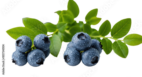 Fresh ripe blueberries with water droplets, natural bloom, and green leaves on a white studio surface, macro shot with shallow DOF, concept of fresh healthy food