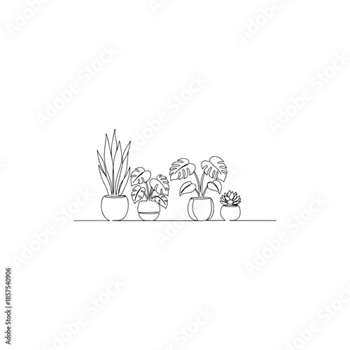 Assorted houseplants isolated on transparent background