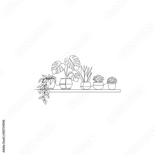 Indoor plant collection isolated on transparent background