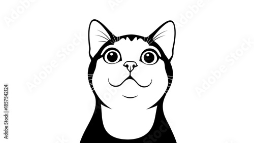 Cute black and white cat looking up with curiosity