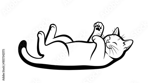 Cute cat lying on its back with paws up and smiling expression