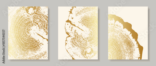 Set of wooden texture templates with gold tree ring patterns. Premium backgrounds with wood grain and elegant circular growth design Vertical banner with tree ring pattern Vector stamp of wood texture