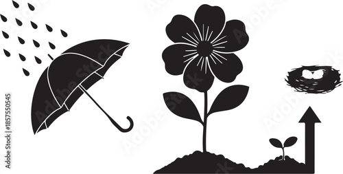 Plant growth illustration showing development from seed to blooming flower