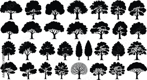 Deciduous Tree Silhouette Collection with Diverse Canopy Shapes for Forest Landscape, Park Design and Nature Illustration ProjectsWeb
