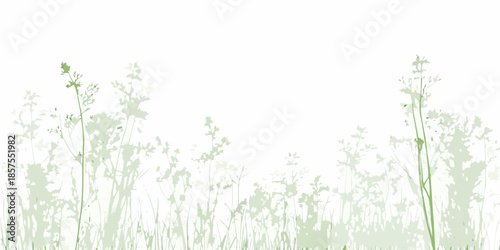 Delicate green grasses and foliage against a clean white background