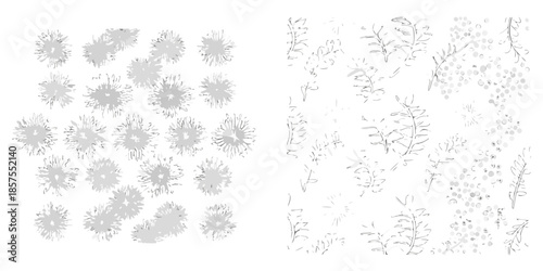 Delicate floral patterns and botanical line art against a white background