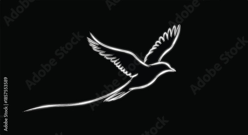 Minimalist Glowing White Bird Flight Path Motion Graphic on Black
