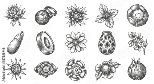 Set of hand-drawn natural botanical elements in sketch style