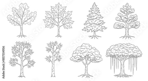Set of sketched tree illustrations with roots on a white background