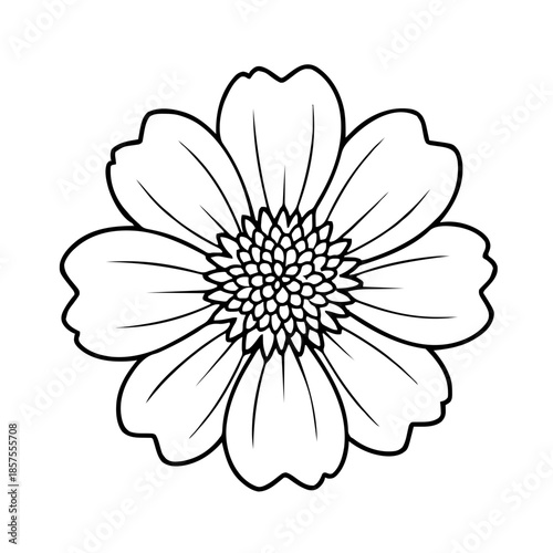 A simple drawing of a scabiosa (pincushion flower). Vector for laser or similar. AI generated.