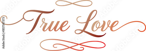 True love romantic phrase with infinity symbol