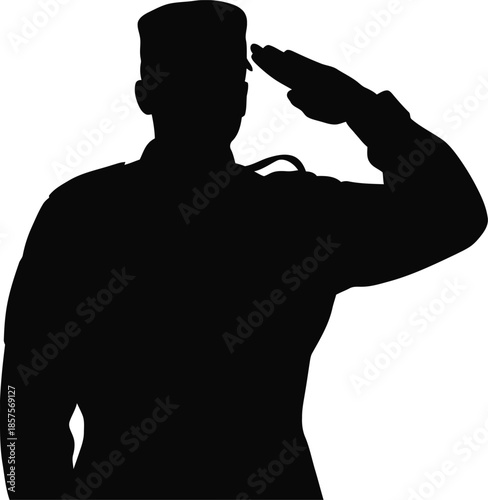 Silhouette of a soldier saluting in a formal military gesture