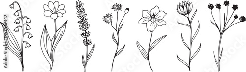 flower line art botanical set six hand drawn floral icons