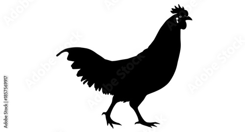 rooster silhouette art, rooster vector clipart, rooster crowing clipart, rooster flat illustration, rooster head clipart, rooster profile vector, rooster emblem clipart, rooster decorative illustratio