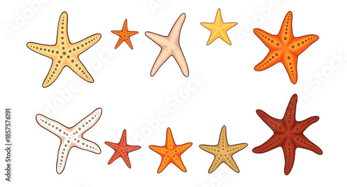 starfish isolated with shadows, professional isolated starfish clip, clear starfish no distraction background, isolated realistic sea star texture, eco style starfish isolated, gift shop starfish isol