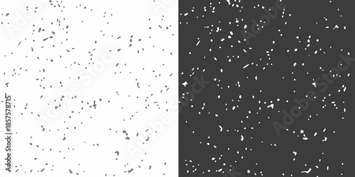 A stark contrast black and white background with scattered speckles