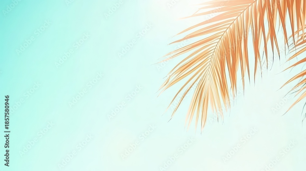 Fototapeta premium Wilting brown palm fronds fanning out against a blazing bright sky
