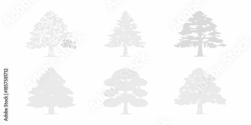 Silhouette collection of diverse evergreen trees against a plain white background