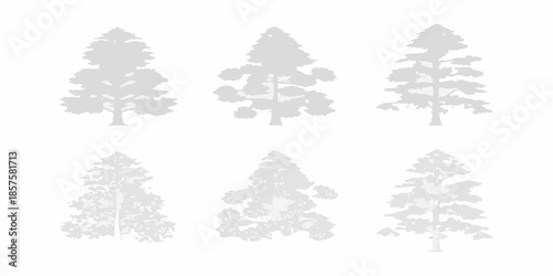 A collection of six different shaped evergreen trees in a grayscale palette
