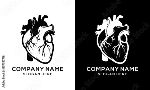 Anatomical Human Heart Logo Design for Medical and Healthcare.