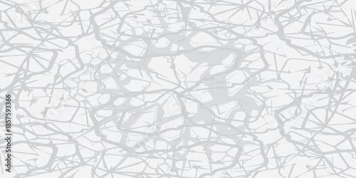 Abstract White and Gray Textured Background with Organic Lines and Cracks.