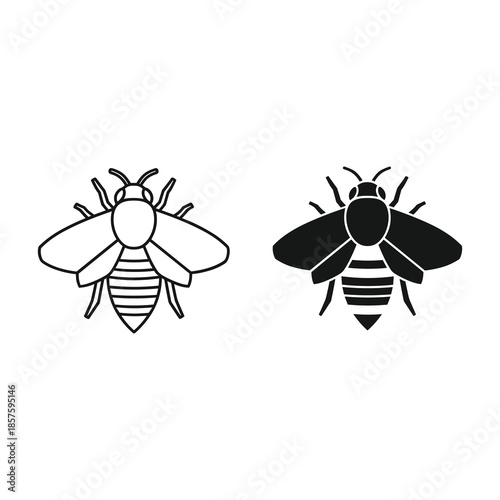 Black and white bee illustration on white background