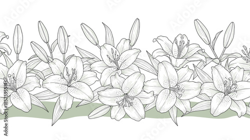 Seamless horizontal border of hand-drawn white lily flowers and buds in an elegant black and white sketch or engraving style.